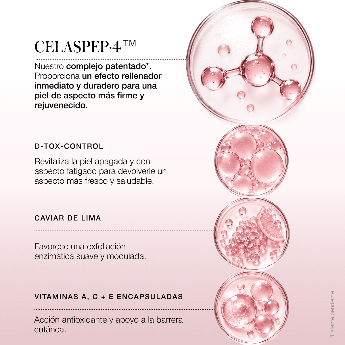 Night Succes