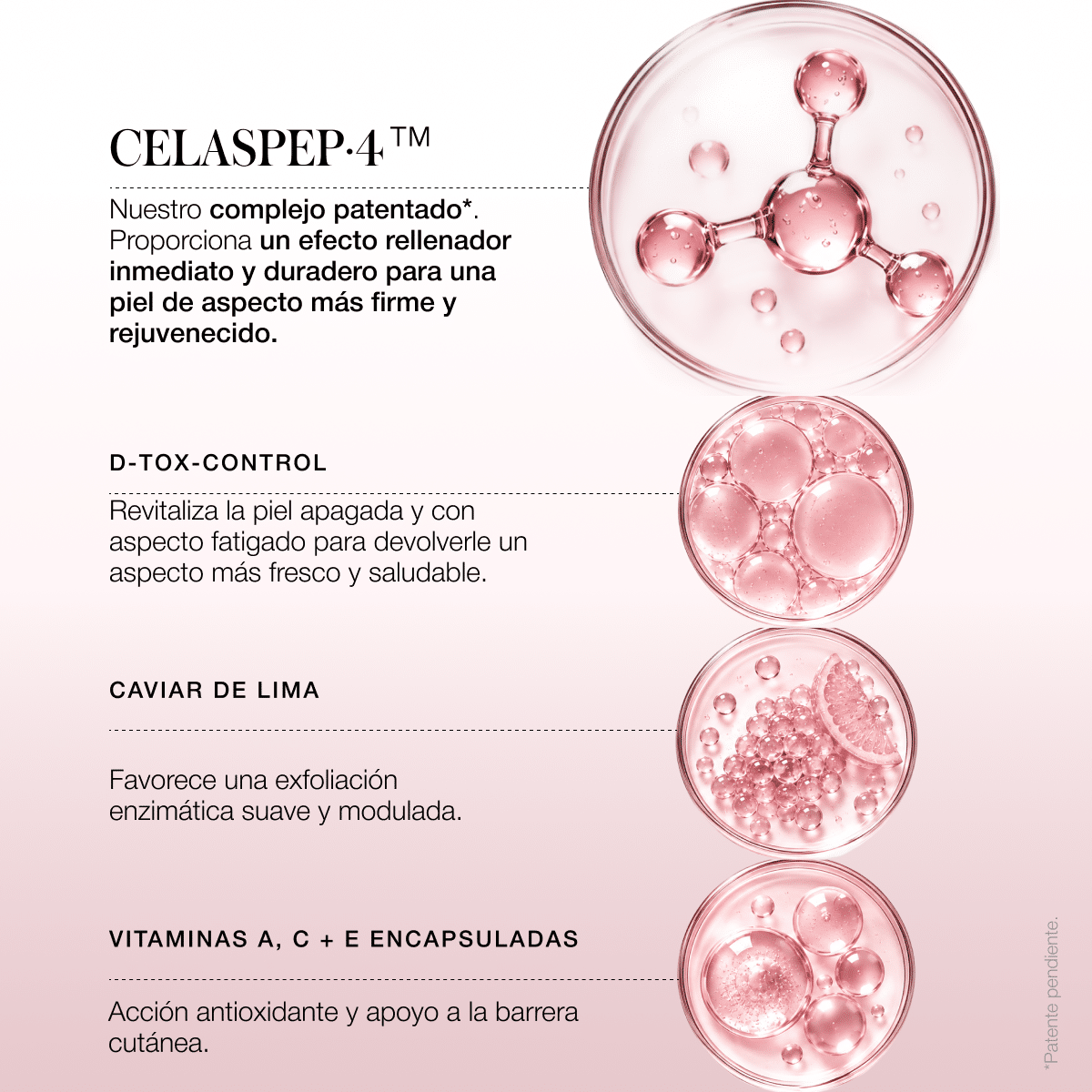 Tratamiento antiarrugas de día y noche